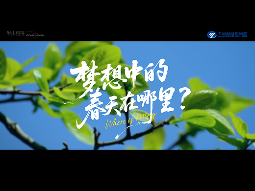 半山悦海 |「梦想中的春天」宣传短片