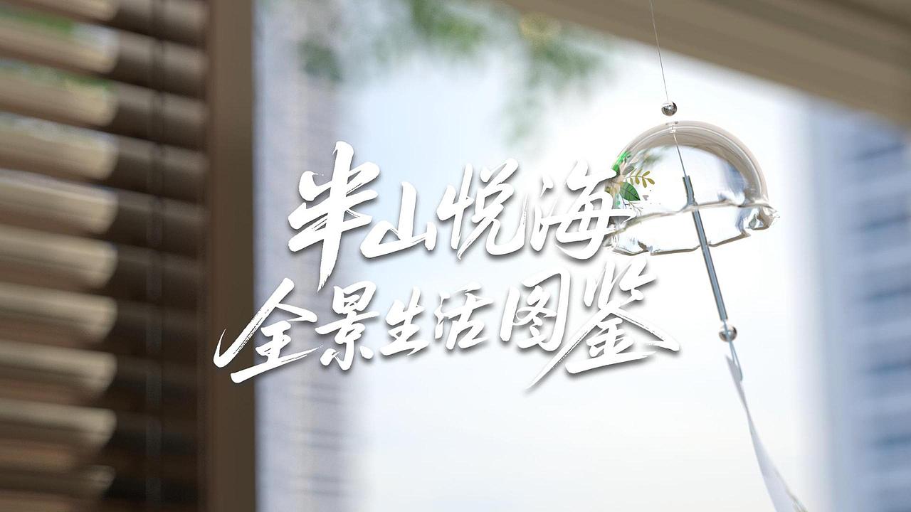 半山悦海 |「全景生活图鉴」宣传短片（图ZNDA1MzE3NDM2） - 宣传片 - 站酷设计师a1d1原创素材 - 站酷ZCOOL