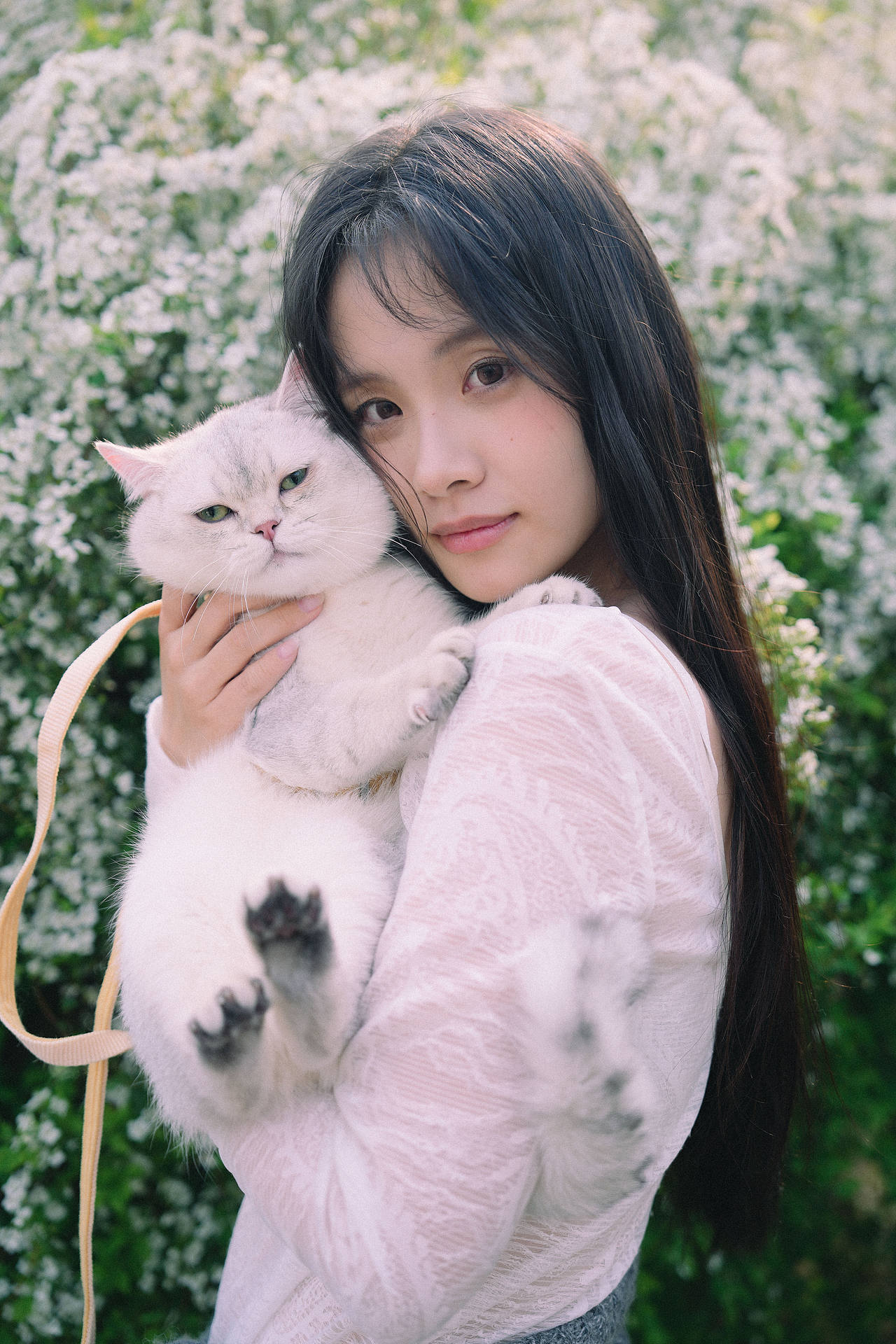 春天和小猫（图ZNDA1MzI3OTE2） - 人像摄影 - 站酷设计师初夏_雨原创素材 - 站酷ZCOOL
