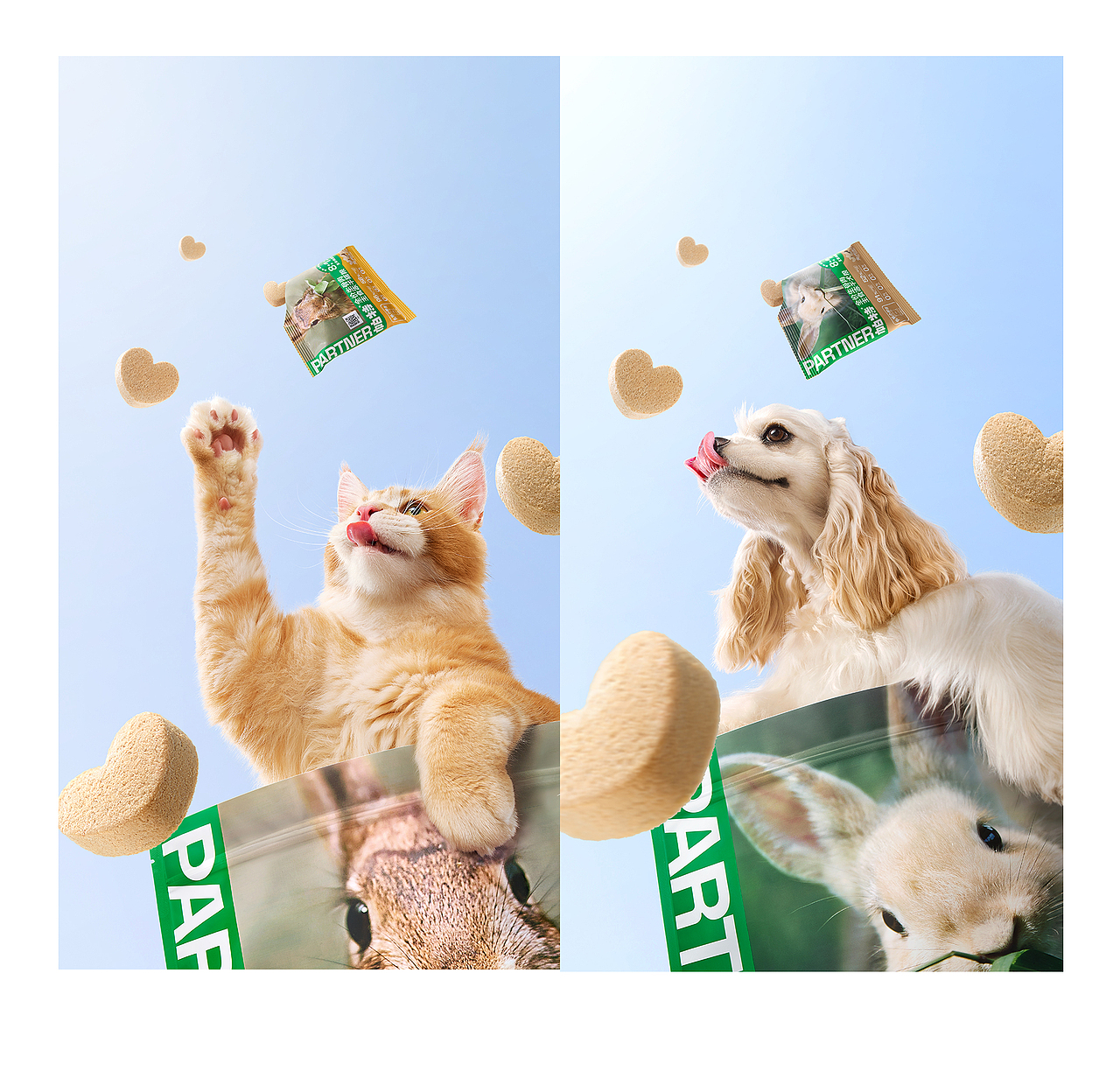 宠物冻干主粮视觉策划（图ZNDA1MzQxMjEy） - 电商 - 站酷设计师哈利波豆原创素材 - 站酷ZCOOL