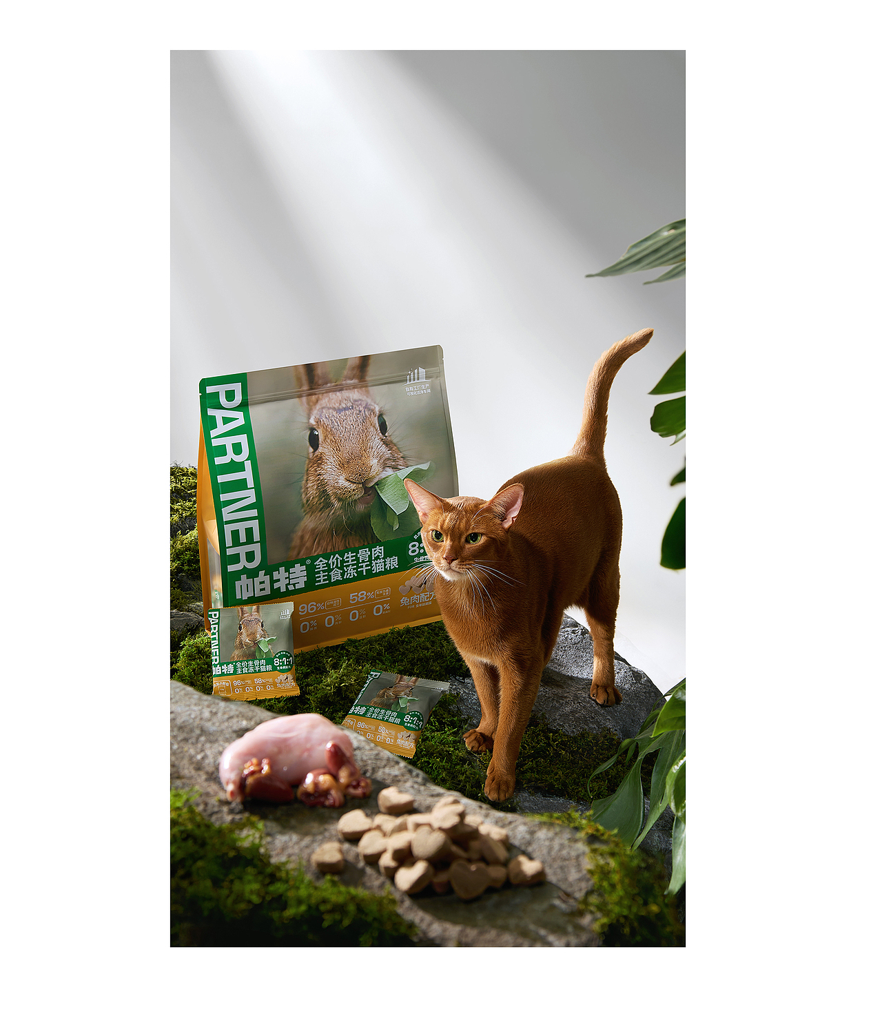 宠物冻干主粮视觉策划（图ZNDA1MzQxMTg4） - 电商 - 站酷设计师哈利波豆原创素材 - 站酷ZCOOL