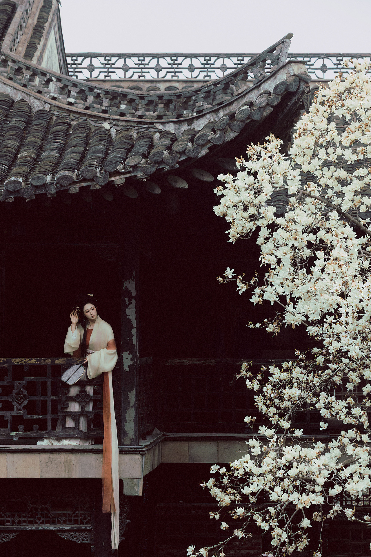 玉树凋伤（图ZNDA1MzQ1NTg4） - 人像摄影 - 站酷设计师若寒Rock原创素材 - 站酷ZCOOL