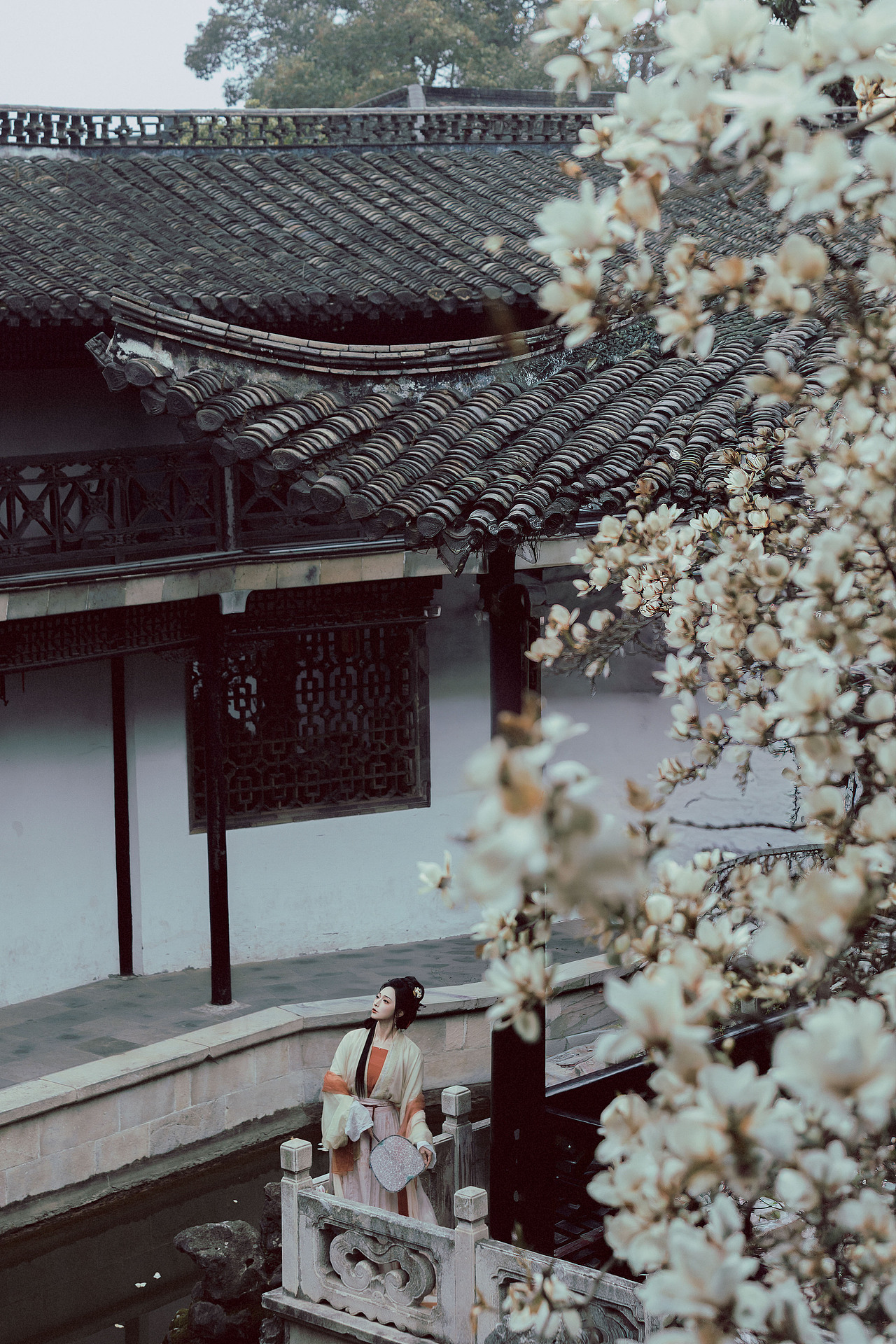 玉树凋伤（图ZNDA1MzQ1NjQw） - 人像摄影 - 站酷设计师若寒Rock原创素材 - 站酷ZCOOL