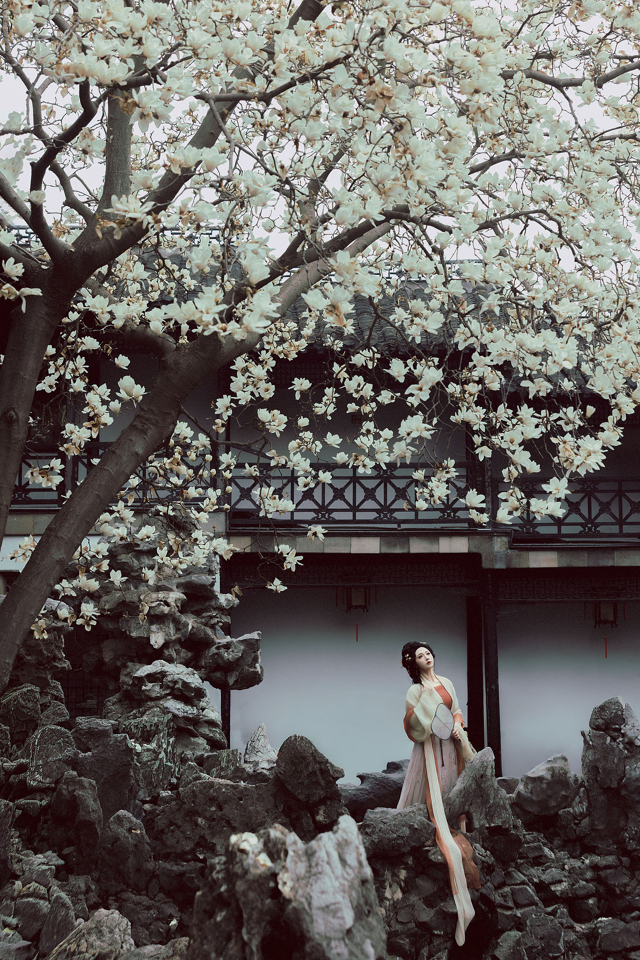 玉树凋伤（图ZNDA1MzQ1NjQ4） - 人像摄影 - 站酷设计师若寒Rock原创素材 - 站酷ZCOOL