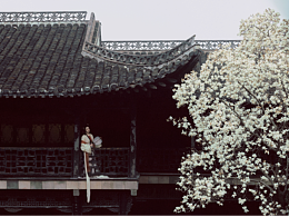 摄影