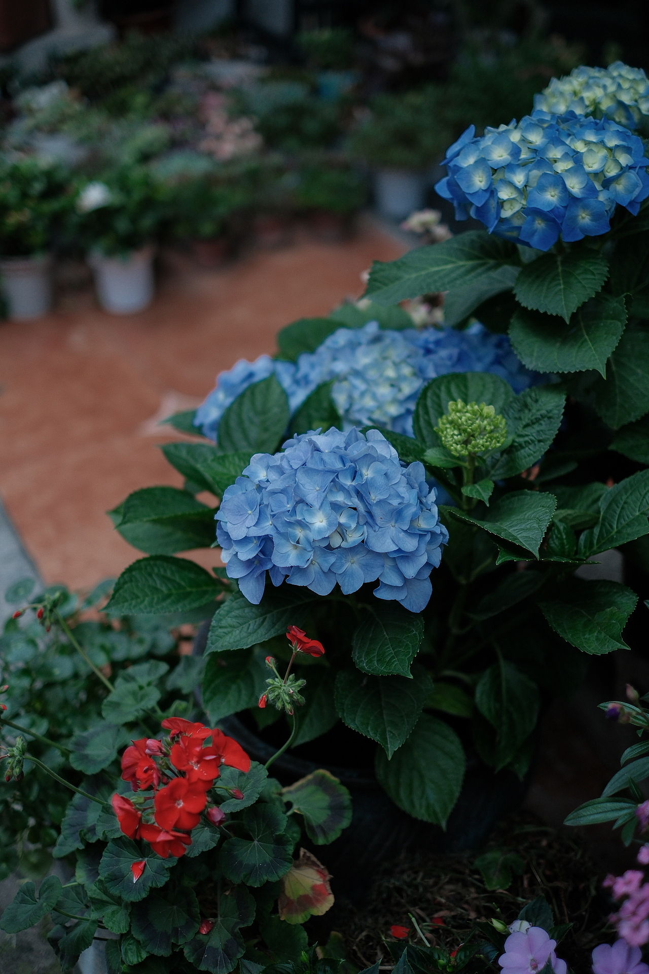 夜曲。（图ZNDA1MzQ1OTYw） - 人文/纪实摄影 - 站酷设计师itstevechenko原创素材 - 站酷ZCOOL