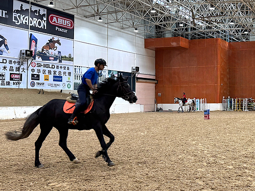 IndoorLink马术培训套装，给你马上的自由