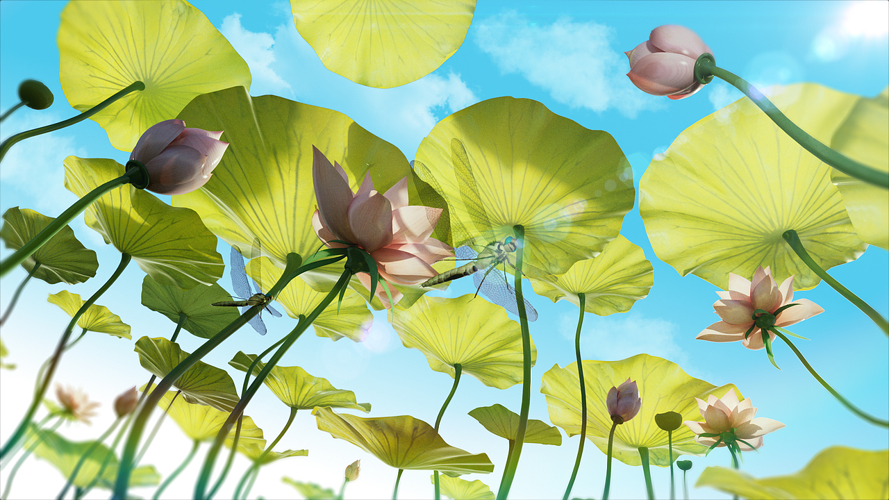 CCTV音乐频道片头制作（图ZNDA1MzY2MDE2） - 栏目片头 - 站酷设计师killingbee原创素材 - 站酷ZCOOL