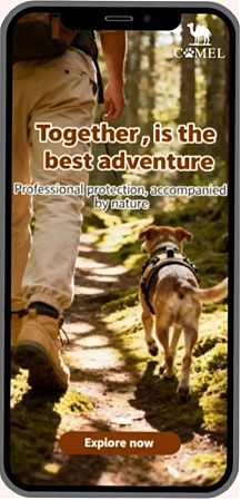 Camel Live demonstration（图ZNDA1MzY2NjM2） - 企业官网 - 站酷设计师Yaannnnn原创素材 - 站酷ZCOOL