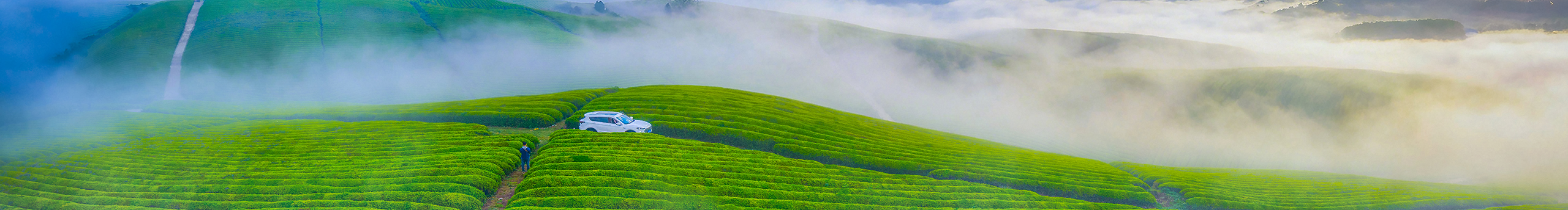 安顺时光的个人主页（封面预览） - 主页封面设置 - 站酷设计师安顺时光原创素材 - 站酷ZCOOL