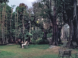 时光凝滞的优雅｜清迈古树公园