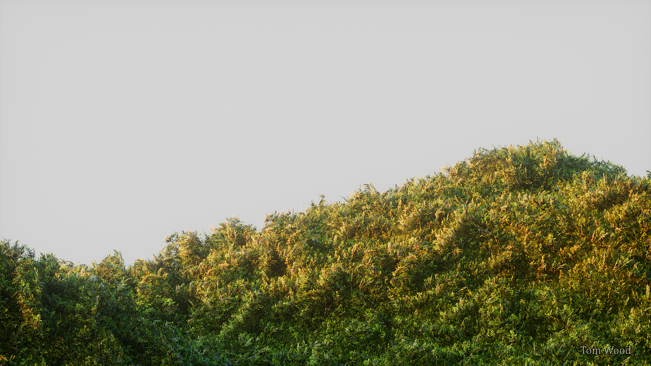 苔藓 · C4D（图ZNDA1Mzg1NTg4） - 场景 - 站酷设计师贺肖鹏君原创素材 - 站酷ZCOOL