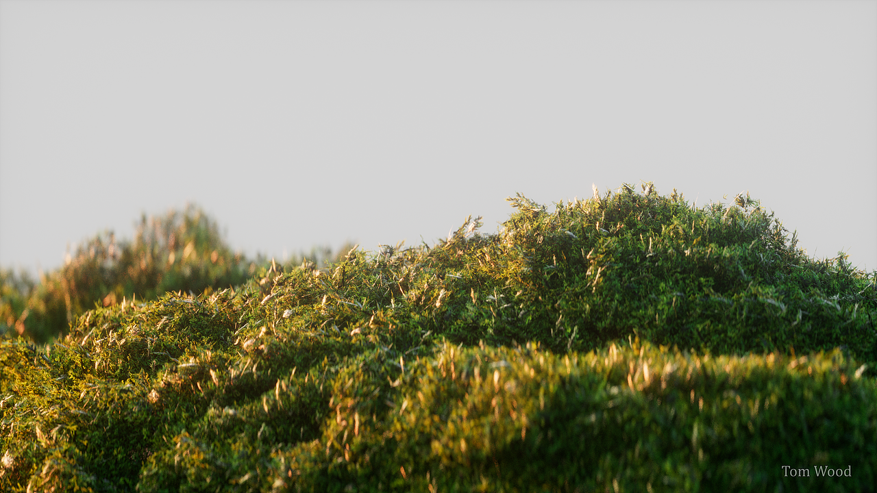 苔藓 · C4D（图ZNDA1Mzg1NTk2） - 场景 - 站酷设计师贺肖鹏君原创素材 - 站酷ZCOOL