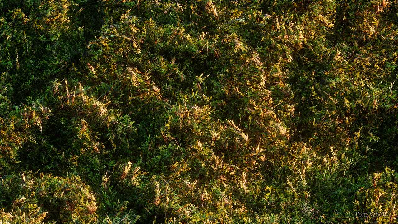 苔藓 · C4D（图ZNDA1Mzg1NjA4） - 场景 - 站酷设计师贺肖鹏君原创素材 - 站酷ZCOOL