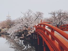 摄影