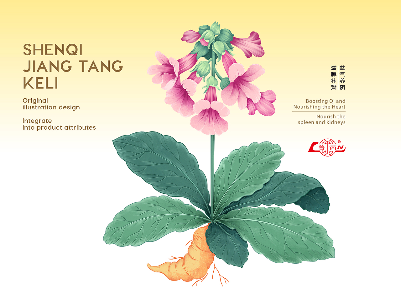 医药品牌设计 中药包装 中药包装设计 医药包装设计(图ZNDA1NDAyNTU2) - 包装 - 站酷设计师郑昌洪品牌vi包装原创素材 - 站酷ZCOOL