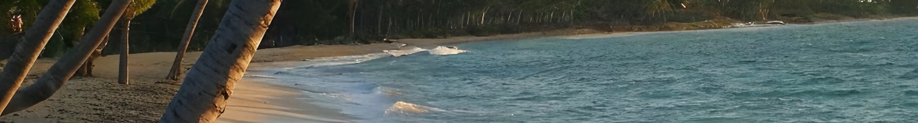 Z271010157的个人主页（封面预览） - 主页封面设置 - 站酷设计师Z271010157原创素材 - 站酷ZCOOL