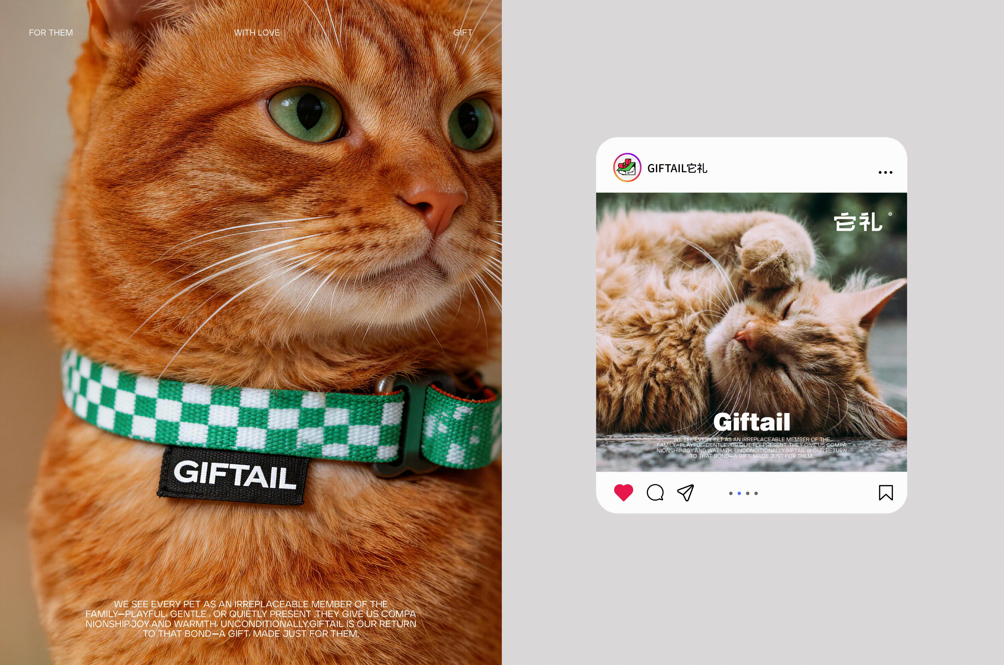 LOGO | 宠物品牌 | GIFTAIL 它礼（图ZNDA1NDE0MzAw） - Logo - 站酷设计师粗盐巴拉拉原创素材 - 站酷ZCOOL