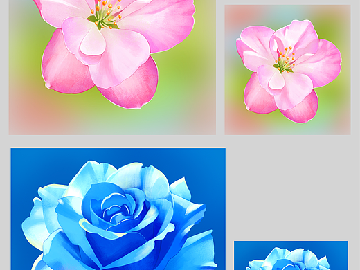 花卉插画 应用场景