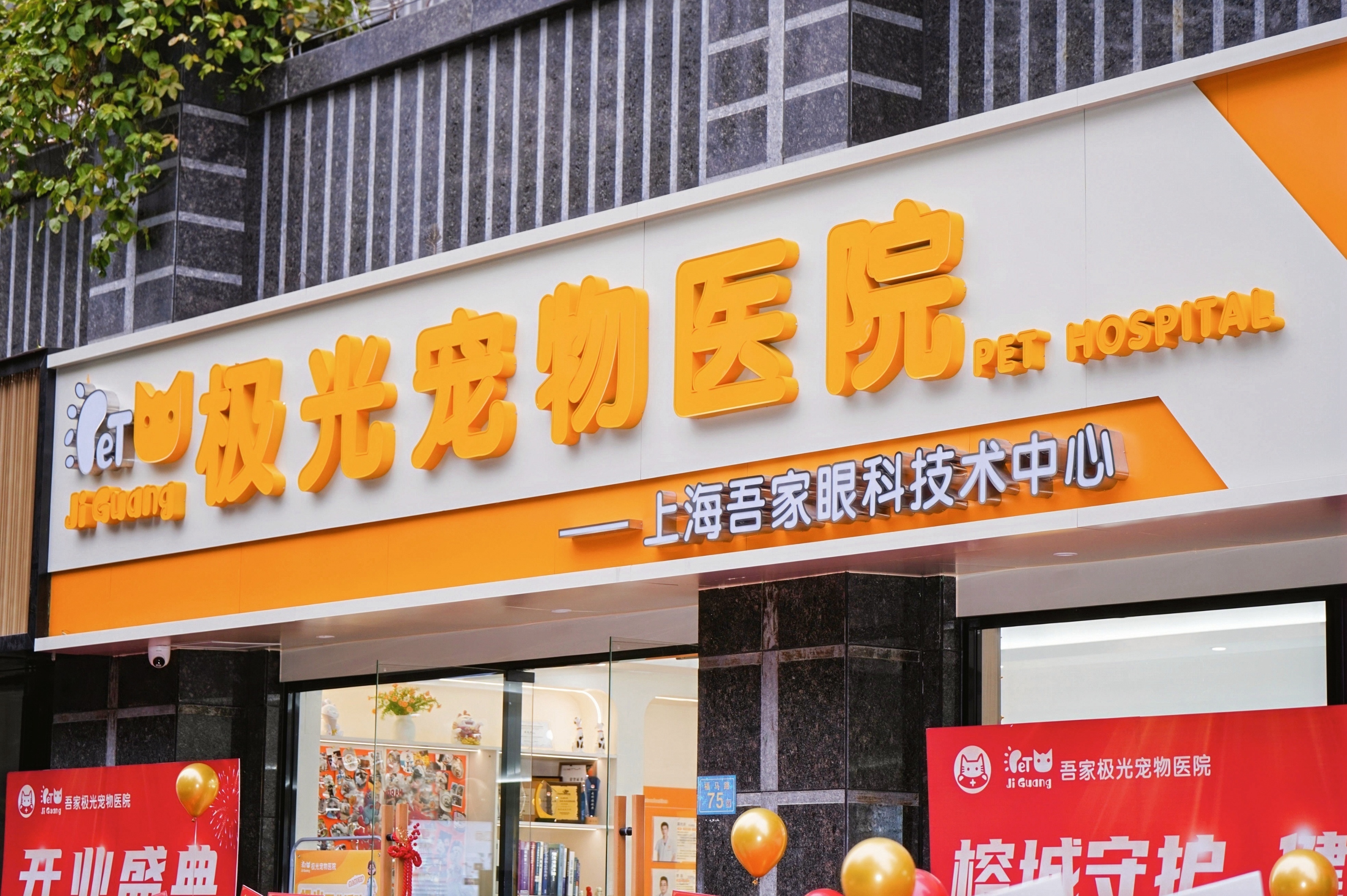 2026年4月晋安狗狗眼科专家（图ZMTU1MzMwMjQ=） - 资讯 - 站酷设计师Z317841122原创素材 - 站酷ZCOOL