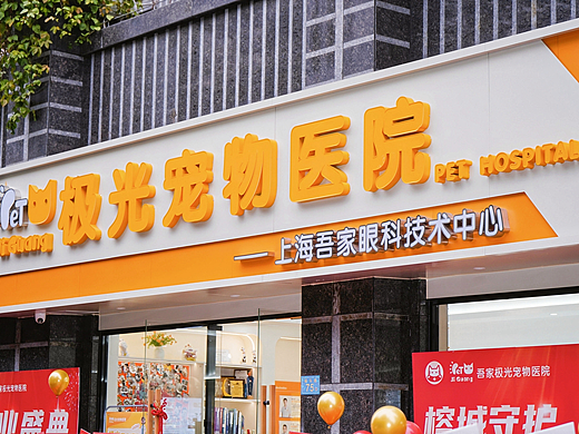 2026年4月晋安狗狗眼科专家