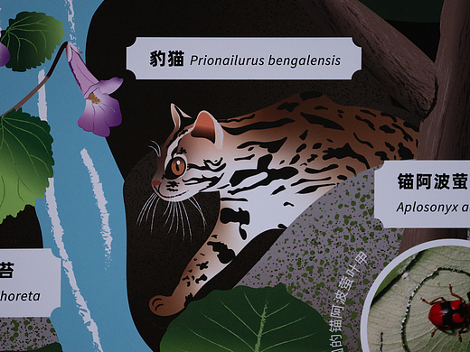 惠州市罗浮山紫云路步道自然科普解说牌设计（个人主页-ZNzM0NDcyODA=） - 宣传物料 - 站酷设计师进退设计原创素材 - 站酷ZCOOL