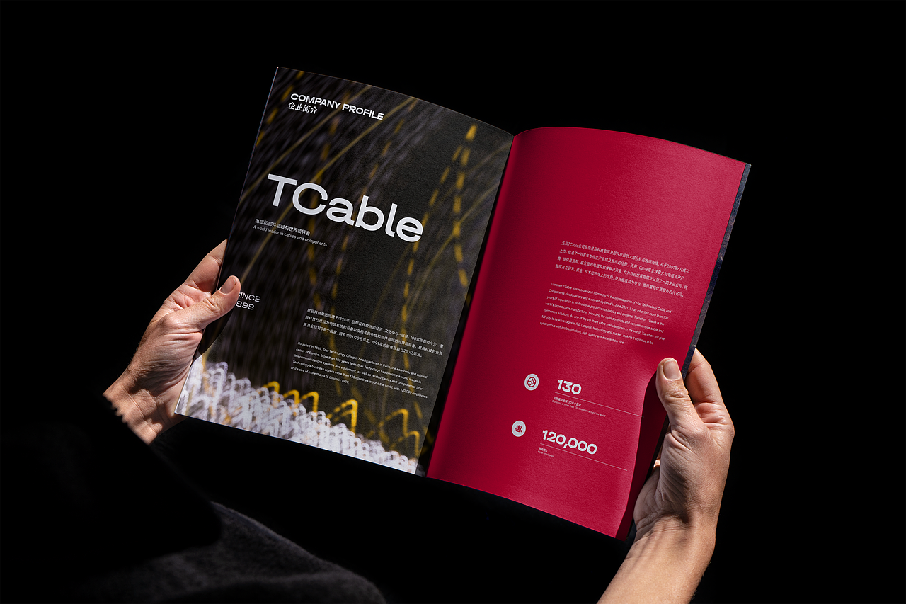 高级原创画册案例合集（图ZNDA1NDI0MjY4） - 书籍/画册 - 站酷设计师靳鹏飞_北京原创素材 - 站酷ZCOOL