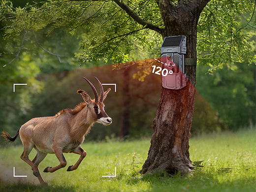 2026年追踪相机--AI-渲染-迭代总结复盘