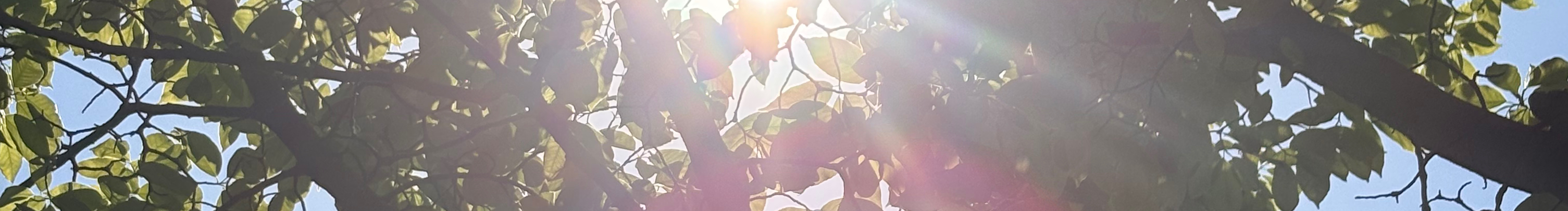 Valuri_的个人主页（封面预览） - 主页封面设置 - 站酷设计师Valuri_原创素材 - 站酷ZCOOL