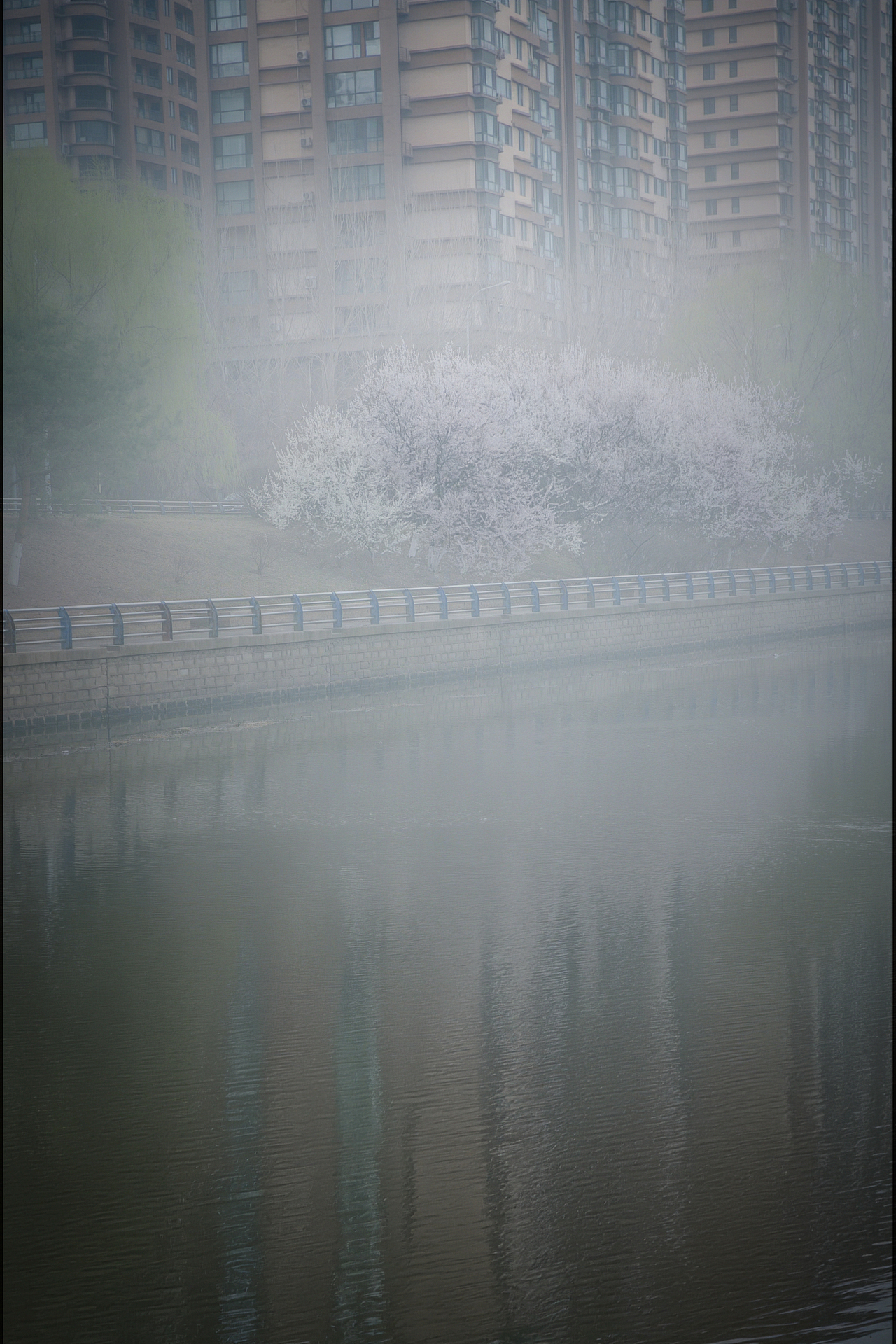 沈阳桃花拍摄（图ZNDA1NDQyNDM2） - 风光摄影 - 站酷设计师教摄影的张老师原创素材 - 站酷ZCOOL