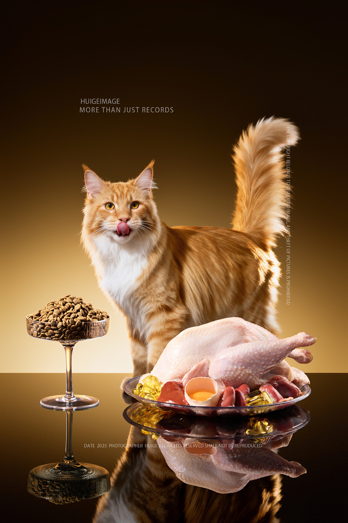 Ai+实拍的优势、节约一半费用、网易猫粮极速出片（图ZNDA1NDQyODA0） - 产品摄影 - 站酷设计师灰格影像原创素材 - 站酷ZCOOL