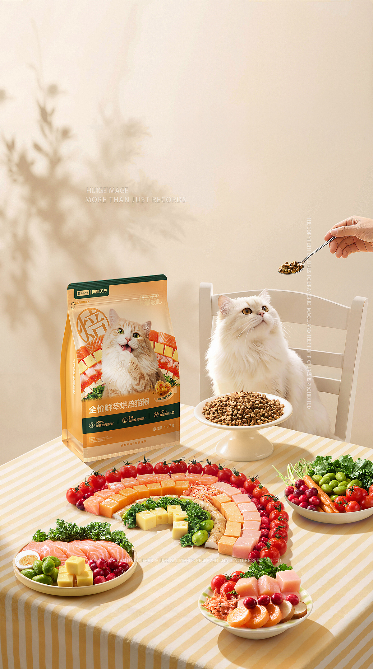 Ai+实拍的优势、节约一半费用、网易猫粮极速出片（图ZNDA1NDQyOTA0） - 产品摄影 - 站酷设计师灰格影像原创素材 - 站酷ZCOOL