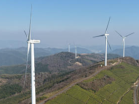 2026年口碑好的有机认证高端红茶公司，高端企业伴手礼/高端茶礼溯源/高端红茶，