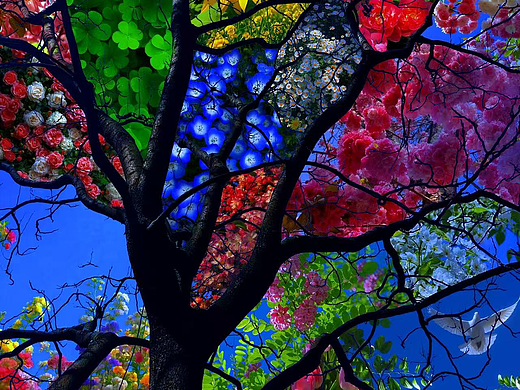 作品临摹海报练习