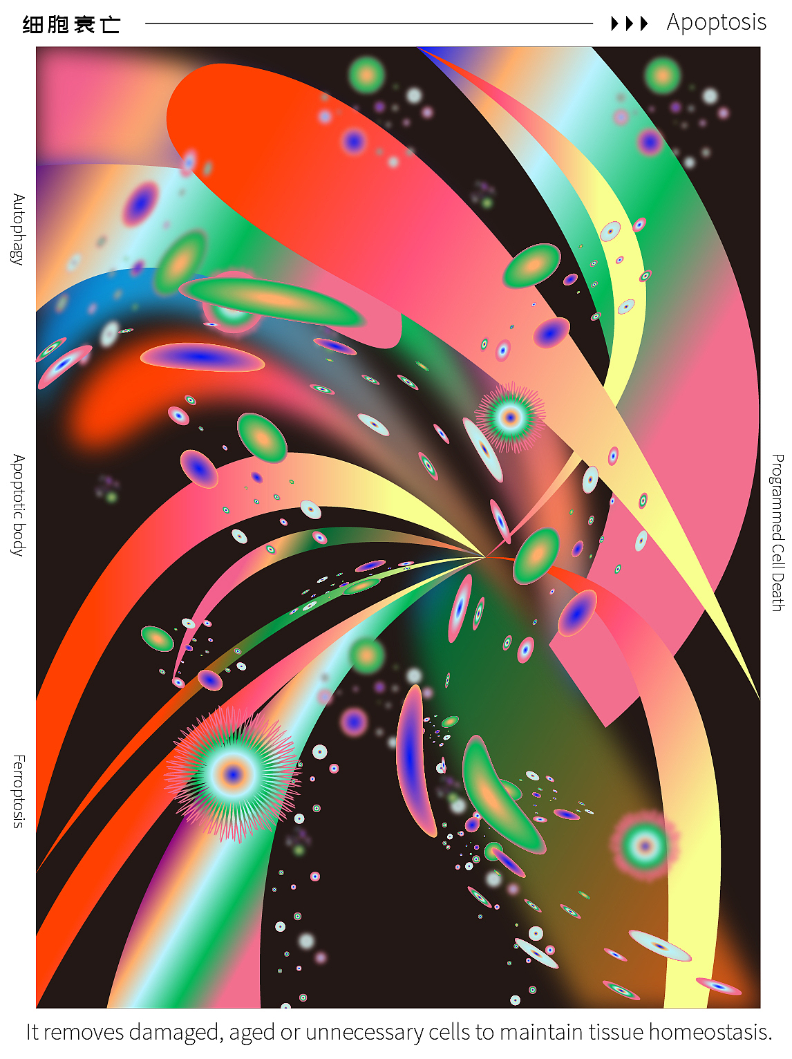 时间的形状（图ZNDA1NDc5OTcy） - 图案 - 站酷设计师Camellia00原创素材 - 站酷ZCOOL