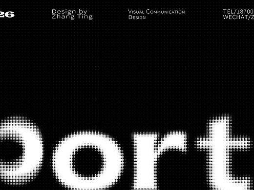 Portfolio --Zhang Ting