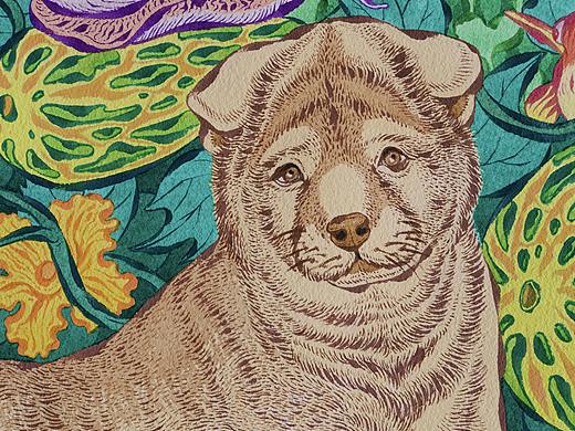 我的原创绘画作品