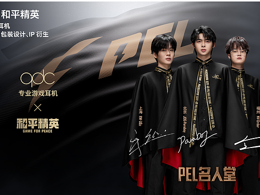 qdc X 和平精英 | IP联名耳机