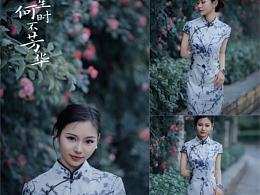 人生何時不芳華