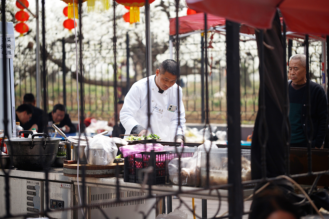 梨花节掠影（图ZNDA1NTE4NzI0） - 其他摄影 - 站酷设计师pear1103原创素材 - 站酷ZCOOL