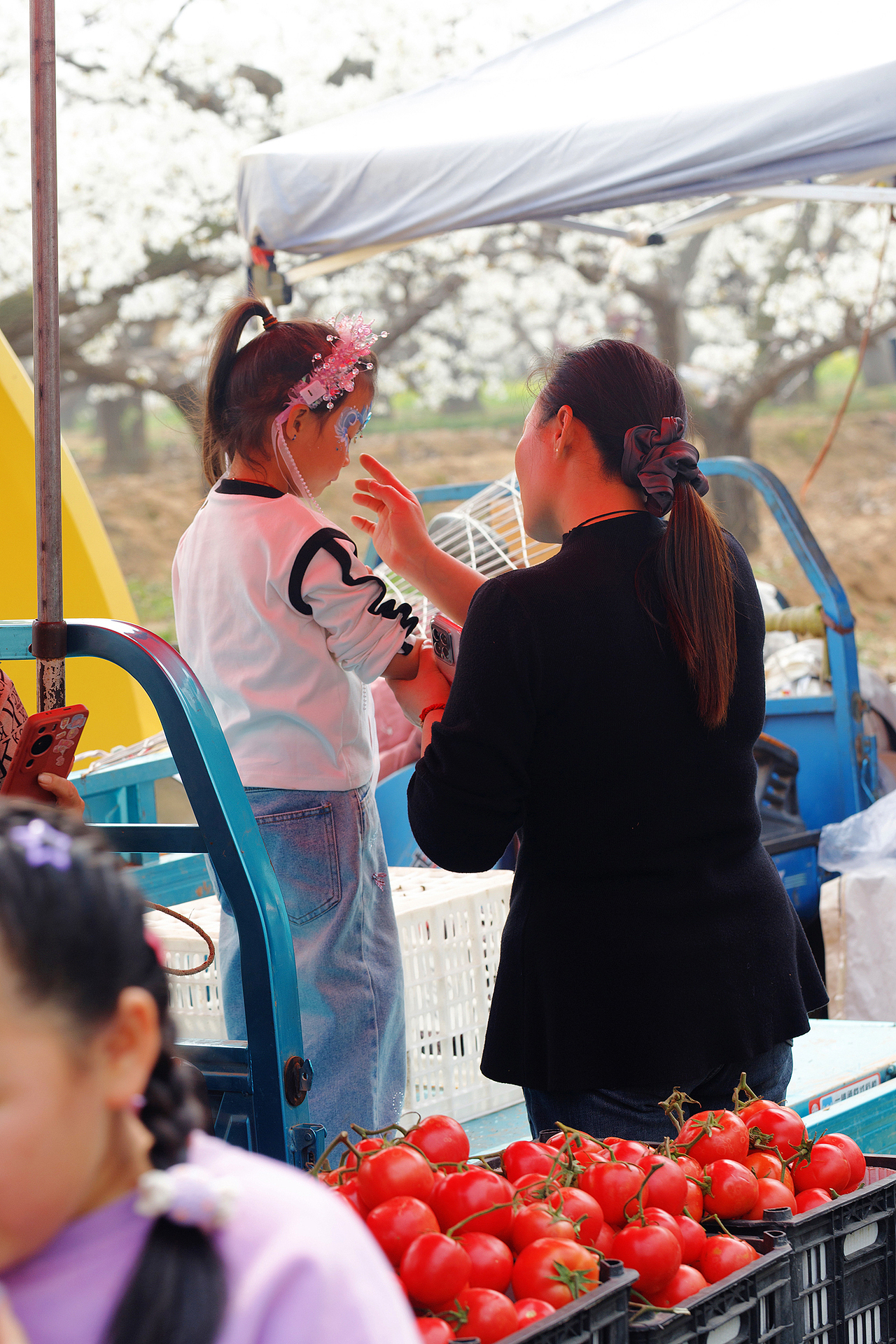 梨花节掠影（图ZNDA1NTE4NzQ0） - 其他摄影 - 站酷设计师pear1103原创素材 - 站酷ZCOOL