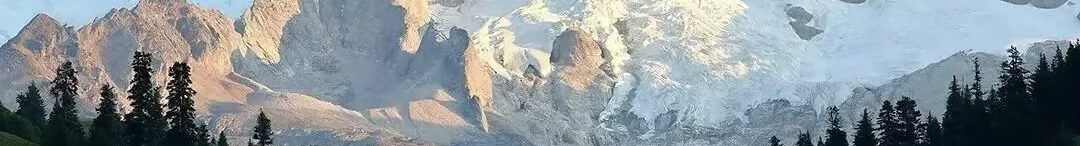 錨點(diǎn)品牌設(shè)計丹妮的個人主頁（封面預(yù)覽） - 主頁封面設(shè)置 - 站酷設(shè)計師錨點(diǎn)品牌設(shè)計丹妮原創(chuàng)素材 - 站酷ZCOOL