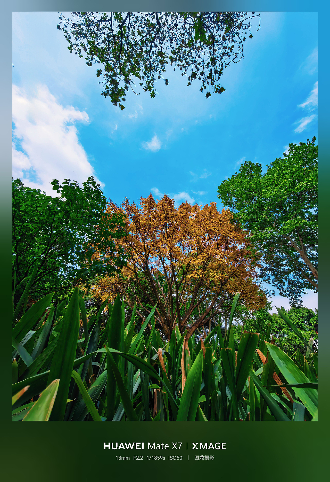 重庆花卉园春的画卷：落叶为毯，风卷暖光编织浪漫时光（图ZNDA1NTIxMDY0） - 人文/纪实摄影 - 站酷设计师图龙摄影原创素材 - 站酷ZCOOL