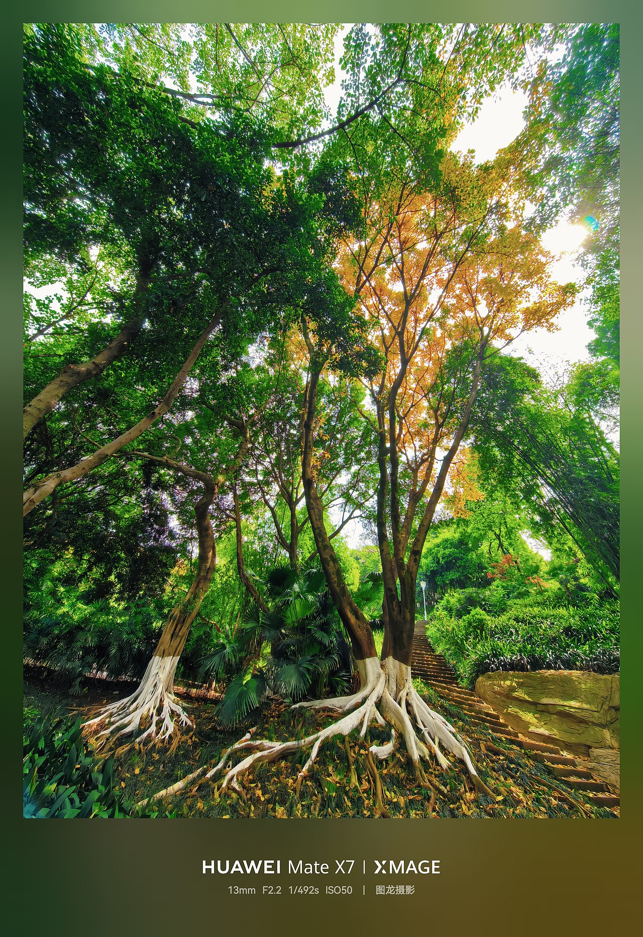 重庆花卉园春的画卷：落叶为毯，风卷暖光编织浪漫时光（图ZNDA1NTIxMDY4） - 人文/纪实摄影 - 站酷设计师图龙摄影原创素材 - 站酷ZCOOL