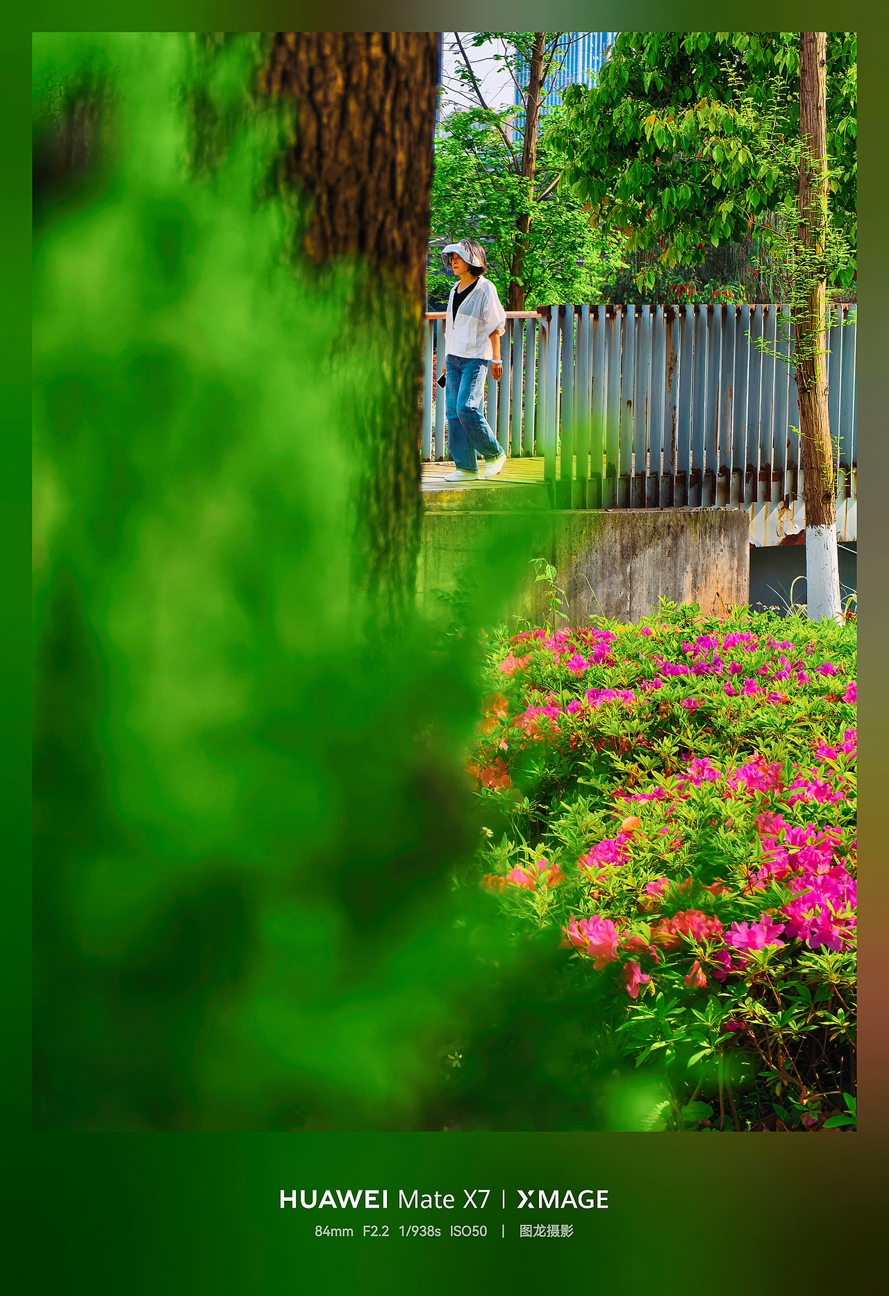 不追景的春日浪漫，低头抬头皆是春的温柔（图ZNDA1NTIyNzA4） - 风光摄影 - 站酷设计师图龙摄影原创素材 - 站酷ZCOOL