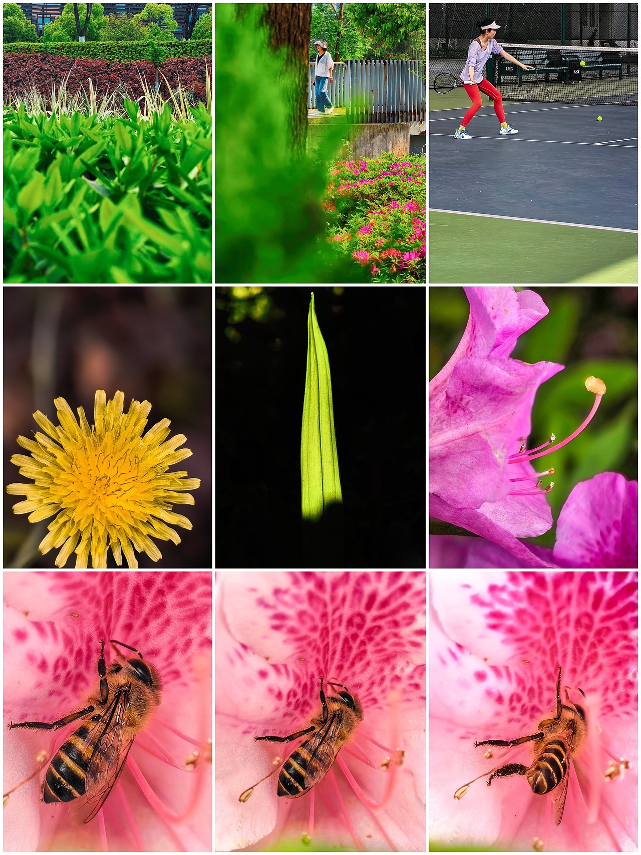 不追景的春日浪漫，低头抬头皆是春的温柔（图ZNDA1NTIyNjgw） - 风光摄影 - 站酷设计师图龙摄影原创素材 - 站酷ZCOOL