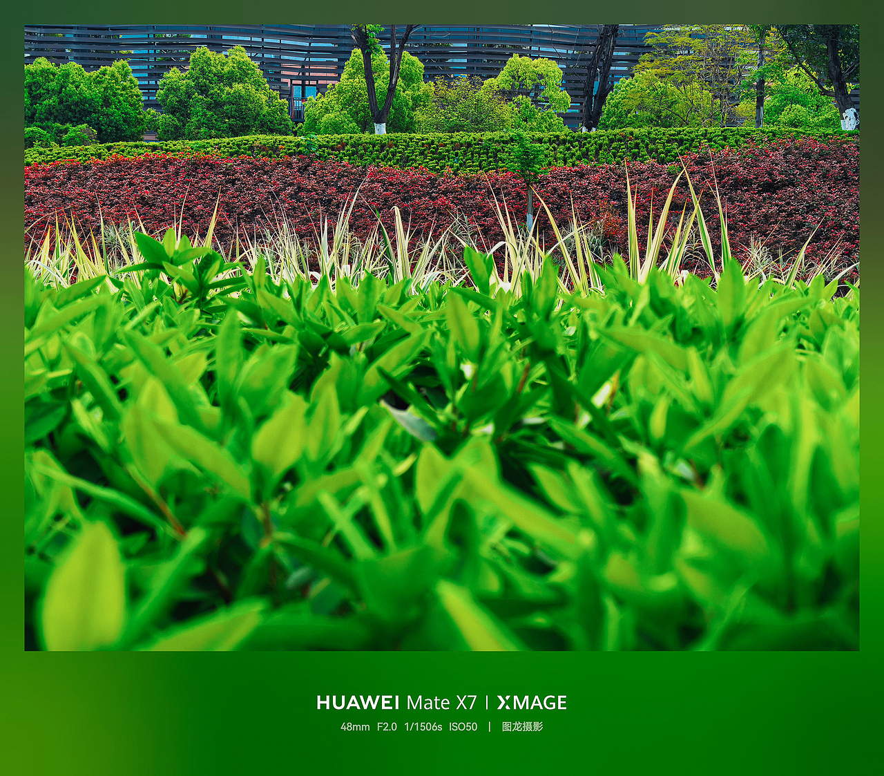 不追景的春日浪漫，低头抬头皆是春的温柔（图ZNDA1NTIyNzE2） - 风光摄影 - 站酷设计师图龙摄影原创素材 - 站酷ZCOOL