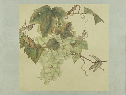 《葡萄草虫图》