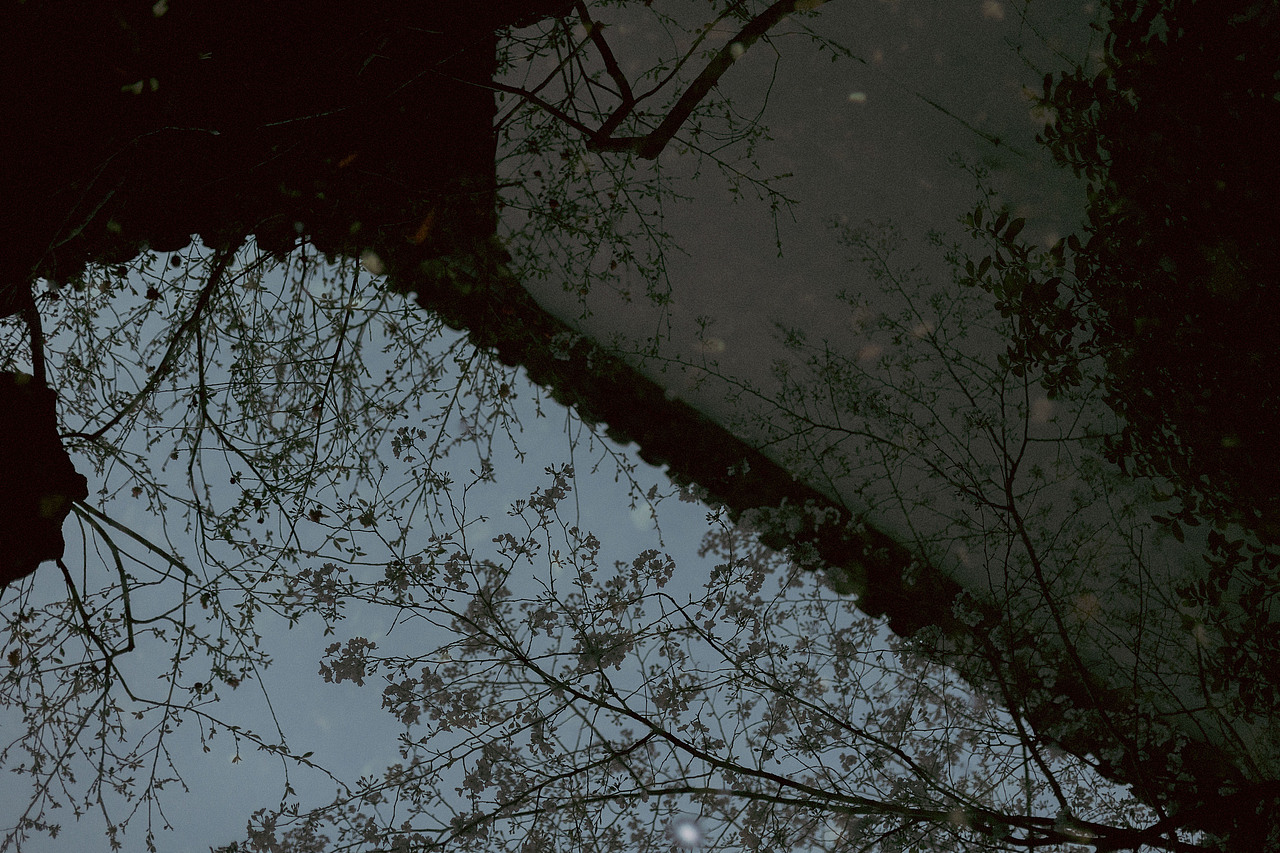 故园白樱（图ZNDA1NTM4NjA0） - 人像摄影 - 站酷设计师若寒Rock原创素材 - 站酷ZCOOL