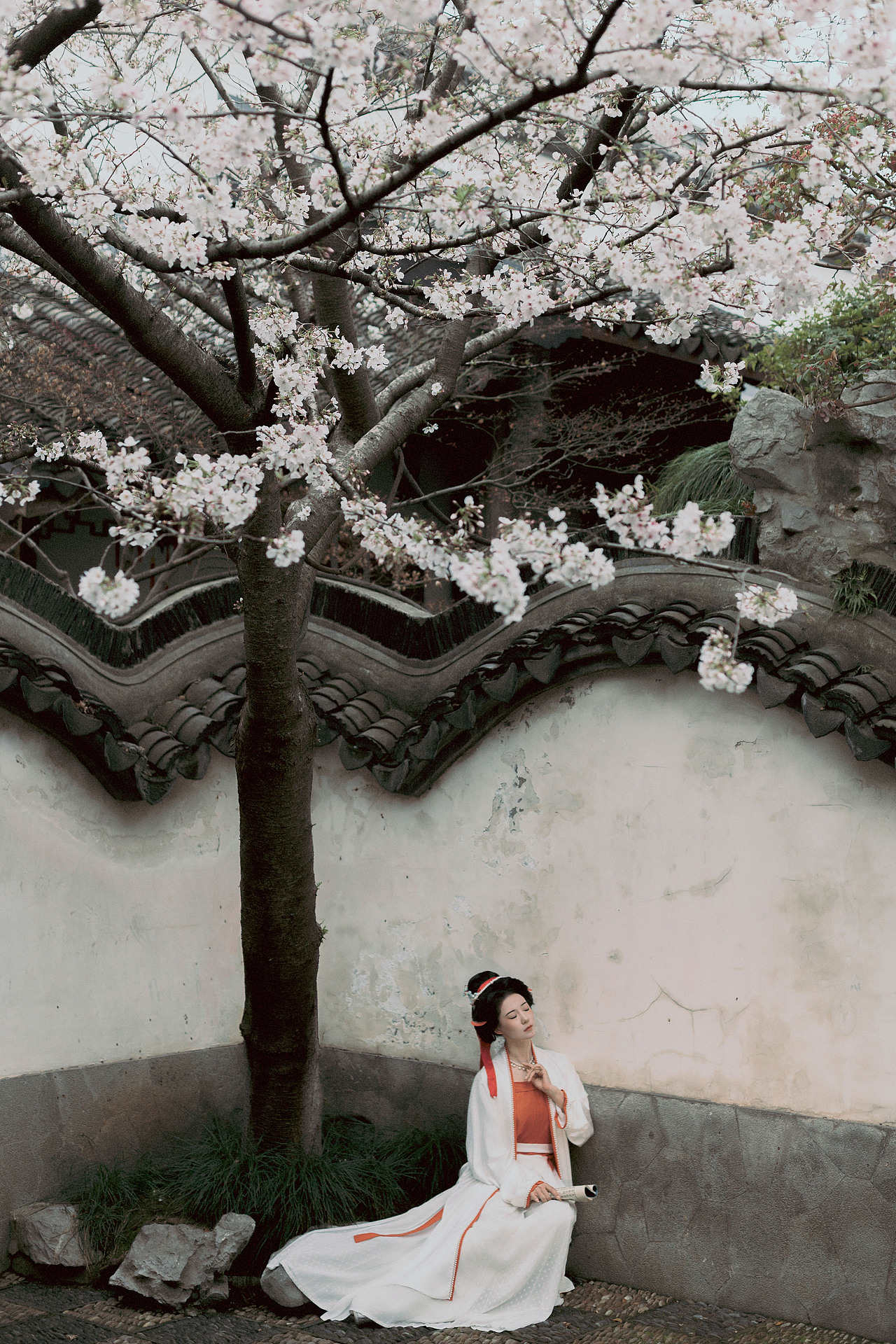故园白樱（图ZNDA1NTM4NTQw） - 人像摄影 - 站酷设计师若寒Rock原创素材 - 站酷ZCOOL
